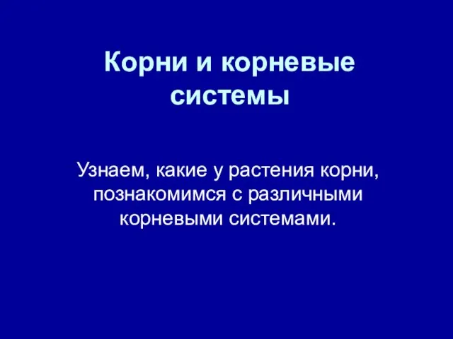 Корни и корневые системы Узнаем, какие у растения корни, познакомимся с различными корневыми системами.