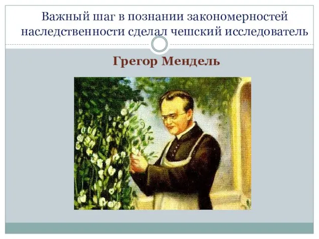 Важный шаг в познании закономерностей наследственности сделал чешский исследователь Грегор Мендель