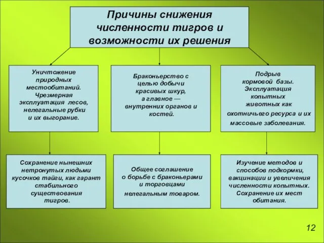 Причины снижения численности тигров и возможности их решения Уничтожение природных местообитаний. Чрезмерная