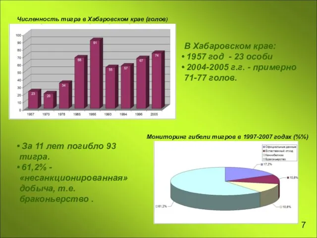 7 За 11 лет погибло 93 тигра. 61,2% -«несанкционированная» добыча, т.е. браконьерство