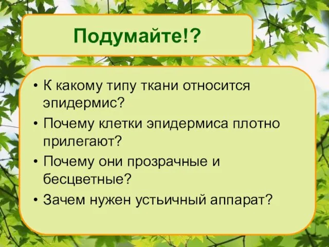 Подумайте!? К какому типу ткани относится эпидермис? Почему клетки эпидермиса плотно прилегают?