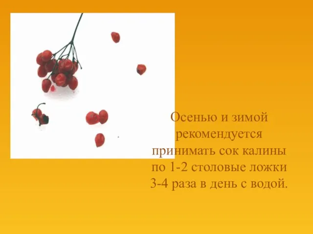 Осенью и зимой рекомендуется принимать сок калины по 1-2 столовые ложки 3-4