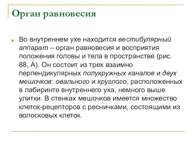 Орган равновесия Во внутреннем ухе находится вестибулярный аппарат – орган равновесия и