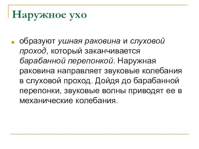 Наружное ухо образуют ушная раковина и слуховой проход, который заканчивается барабанной перепонкой.