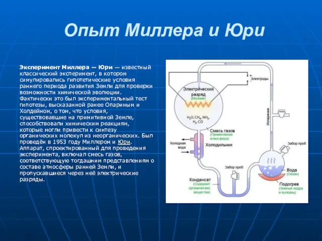 Опыт Миллера и Юри Эксперимент Миллера — Юри — известный классический эксперимент,