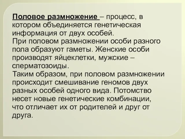 Половое размножение – процесс, в котором объединяется генетическая информация от двух особей.