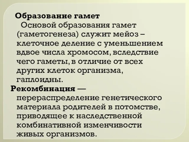 Образование гамет Основой образования гамет (гаметогенеза) служит мейоз – клеточное деление с