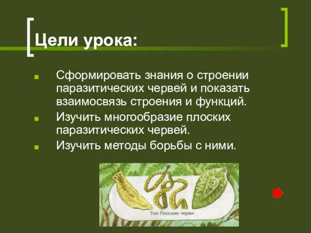 Цели урока: Сформировать знания о строении паразитических червей и показать взаимосвязь строения