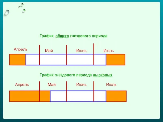 1 Апрель Май Июнь Июль График общего гнездового периода График гнездового периода