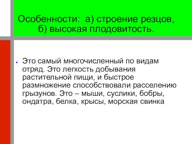 Особенности: а) строение резцов, б) высокая плодовитость. Это самый многочисленный по видам