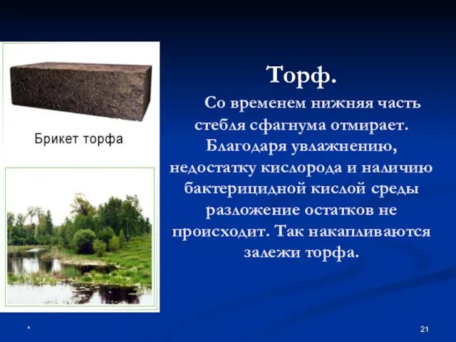 * Торф. Со временем нижняя часть стебля сфагнума отмирает. Благодаря увлажнению, недостатку