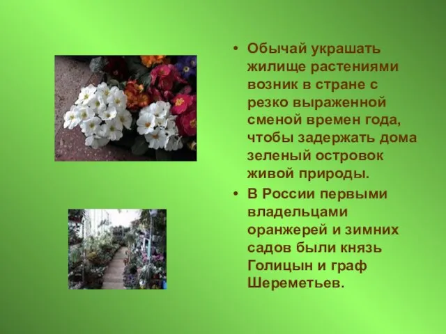 Обычай украшать жилище растениями возник в стране с резко выраженной сменой времен