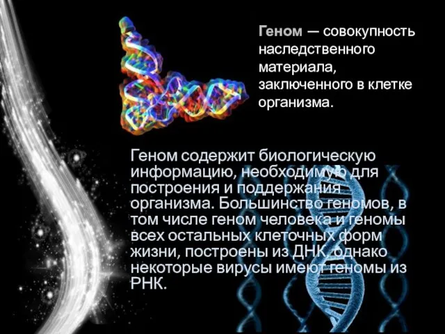 Геном содержит биологическую информацию, необходимую для построения и поддержания организма. Большинство геномов,