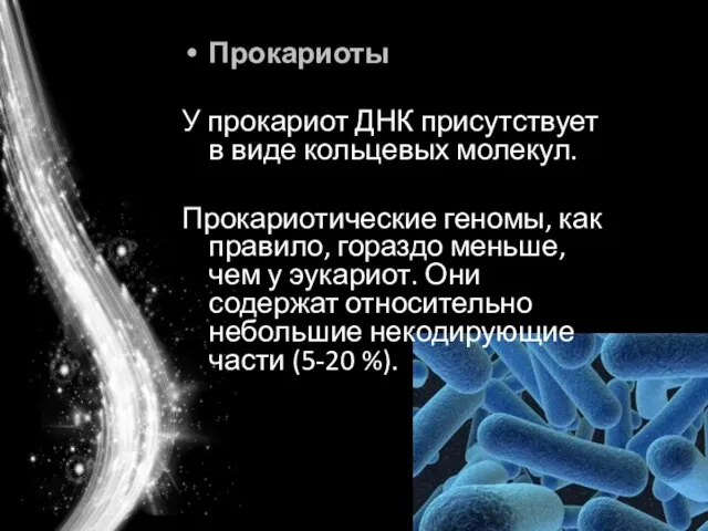 Прокариоты У прокариот ДНК присутствует в виде кольцевых молекул. Прокариотические геномы, как