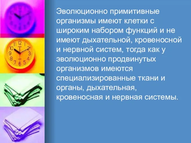 Эволюционно примитивные организмы имеют клетки с широким набором функций и не имеют