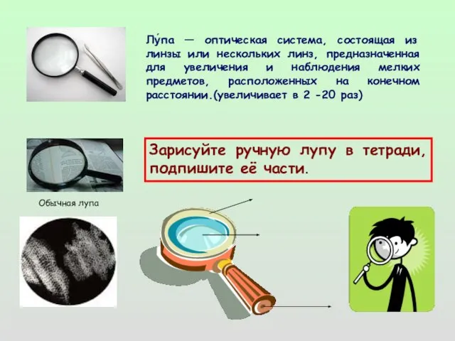 Обычная лупа Лу́па — оптическая система, состоящая из линзы или нескольких линз,