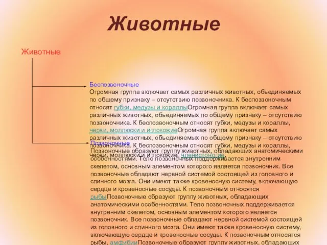 Животные Беспозвоночные Огромная группа включает самых различных животных, объединяемых по общему признаку