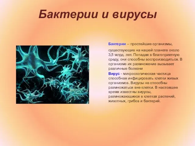 Бактерии и вирусы Бактерии – простейшие организмы, существующие на нашей планете около