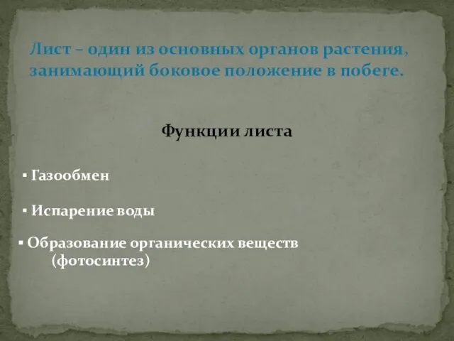 Лист – один из основных органов растения, занимающий боковое положение в побеге.