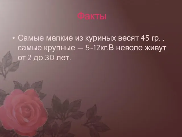 Самые мелкие из куриных весят 45 гр. ,самые крупные — 5-12кг.В неволе