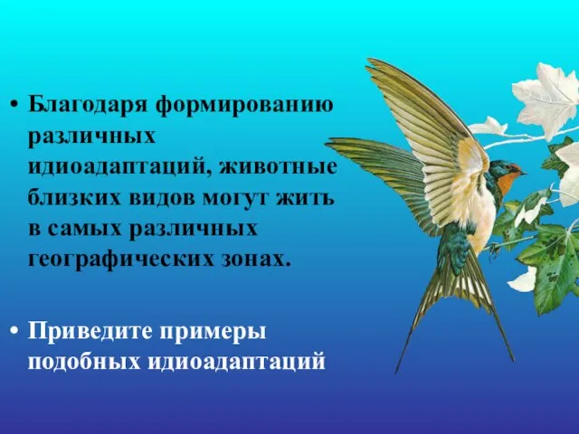 Благодаря формированию различных идиоадаптаций, животные близких видов могут жить в самых различных