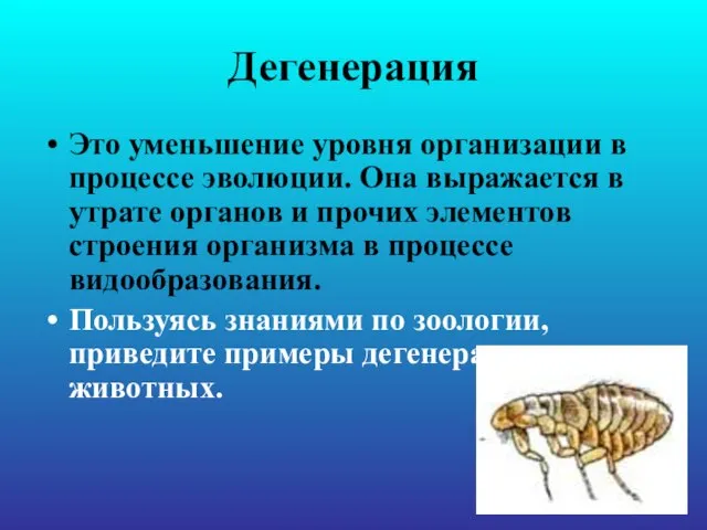 Дегенерация Это уменьшение уровня организации в процессе эволюции. Она выражается в утрате