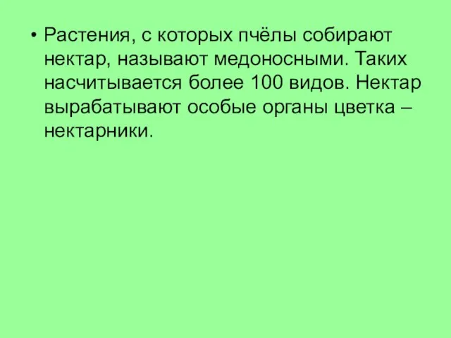 Растения, с которых пчёлы собирают нектар, называют медоносными. Таких насчитывается более 100