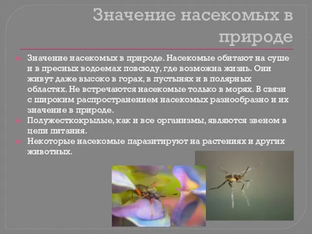 Значение насекомых в природе Значение насекомых в природе. Насекомые обитают на суше