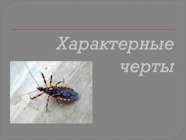 Характерные черты