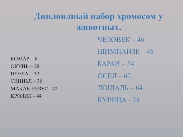 КОМАР – 6 ОКУНЬ – 28 ПЧЕЛА – 32 СВИНЬЯ – 38