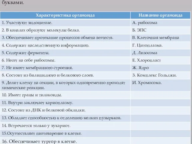 Задание. Установите соответствие между цифрами и буквами.