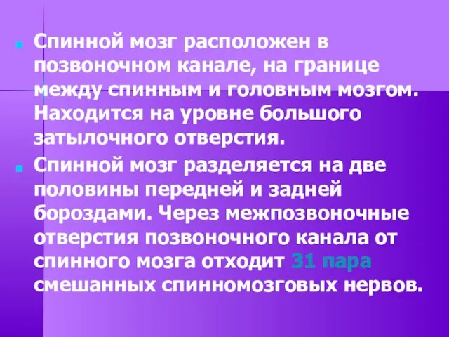 Спинной мозг расположен в позвоночном канале, на границе между спинным и головным