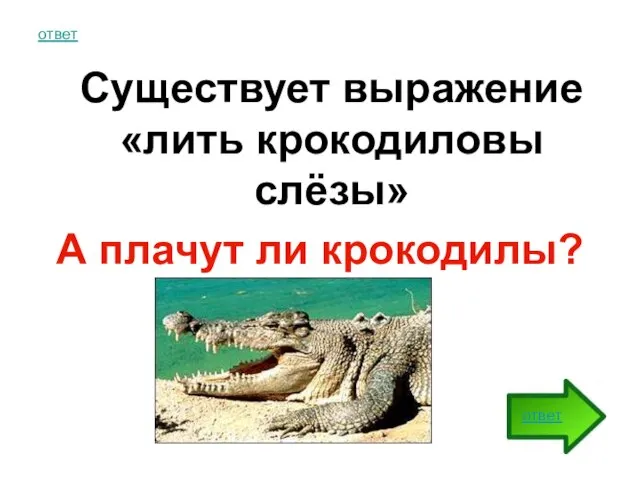 ответ Существует выражение «лить крокодиловы слёзы» А плачут ли крокодилы? ответ