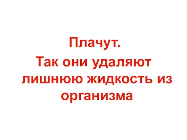 Плачут. Так они удаляют лишнюю жидкость из организма