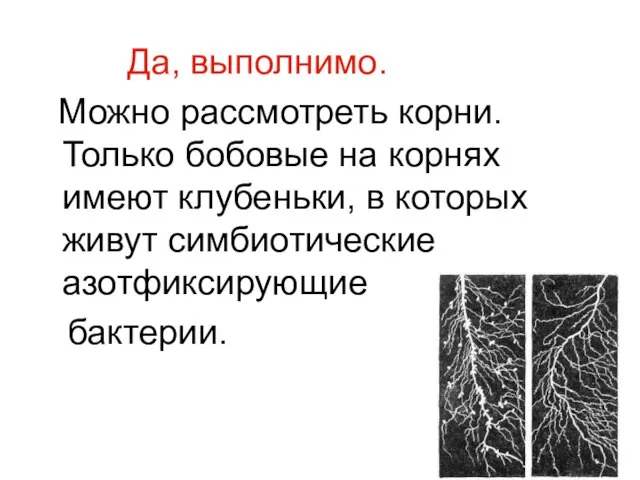 Да, выполнимо. Можно рассмотреть корни. Только бобовые на корнях имеют клубеньки, в