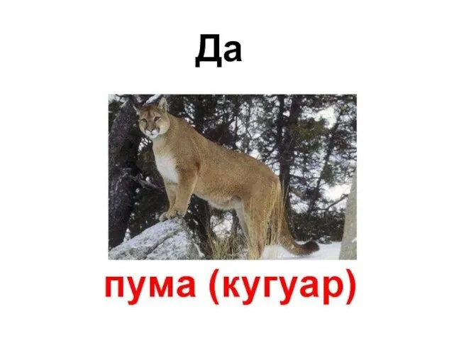 Да