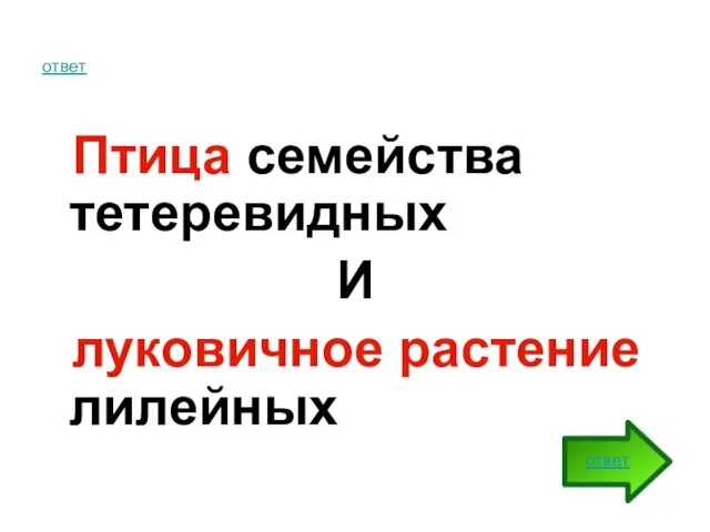 ответ Птица семейства тетеревидных И луковичное растение лилейных ответ