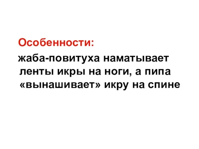 Особенности: жаба-повитуха наматывает ленты икры на ноги, а пипа «вынашивает» икру на спине