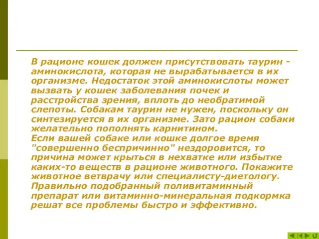 В рационе кошек должен присутствовать таурин - аминокислота, которая не вырабатывается в