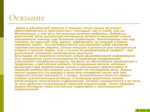 Осязание Даже в абсолютной темноте и тишине, когда кошка не может ориентироваться