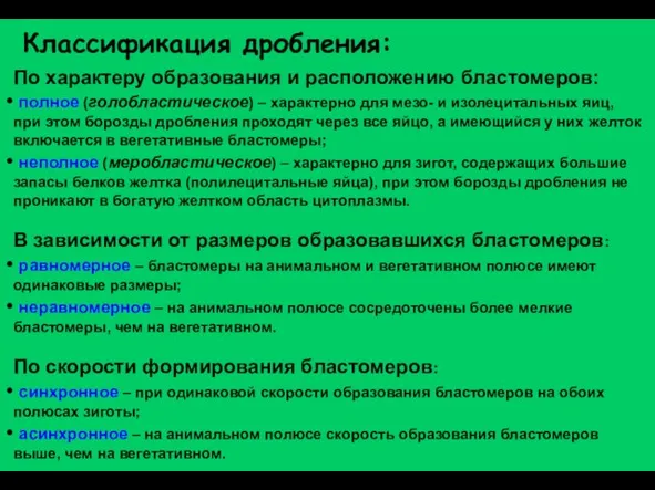 Классификация дробления: По характеру образования и расположению бластомеров: полное (голобластическое) – характерно