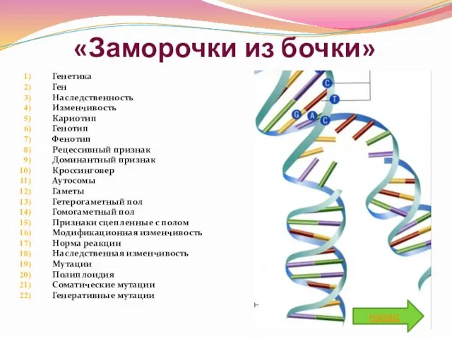 «Заморочки из бочки» Генетика Ген Наследственность Изменчивость Кариотип Генотип Фенотип Рецессивный признак