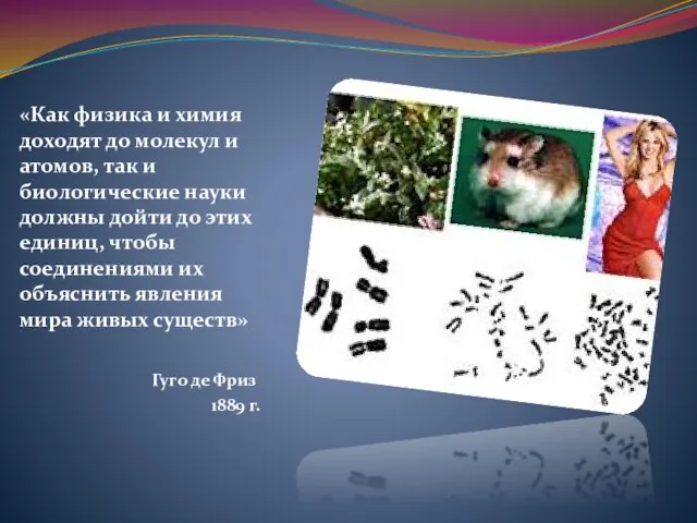 «Как физика и химия доходят до молекул и атомов, так и биологические