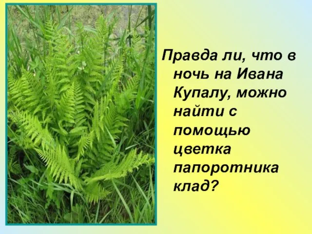 Правда ли, что в ночь на Ивана Купалу, можно найти с помощью цветка папоротника клад?