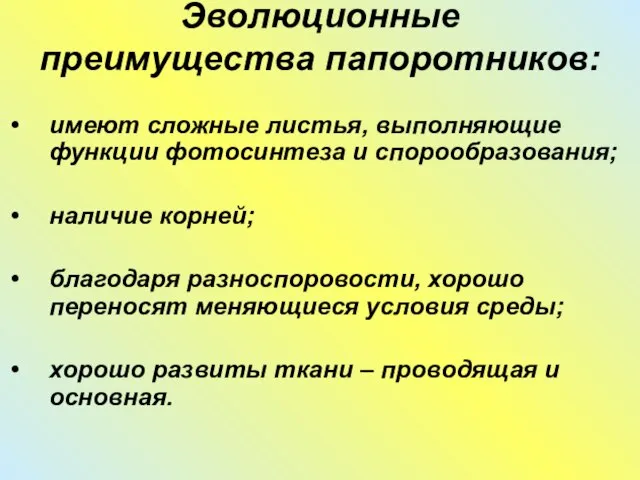 Эволюционные преимущества папоротников: имеют сложные листья, выполняющие функции фотосинтеза и спорообразования; наличие