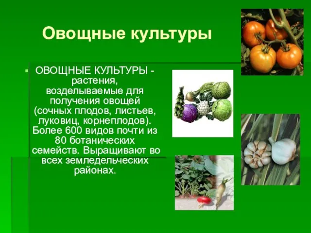 Овощные культуры ОВОЩНЫЕ КУЛЬТУРЫ - растения, возделываемые для получения овощей (сочных плодов,