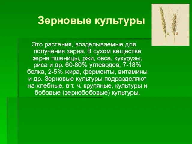 Зерновые культуры Это растения, возделываемые для получения зерна. В сухом веществе зерна