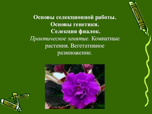 Основы селекционной работы. Основы генетики. Селекция фиалок. Практическое занятие. Комнатные растения. Вегетативное размножение.