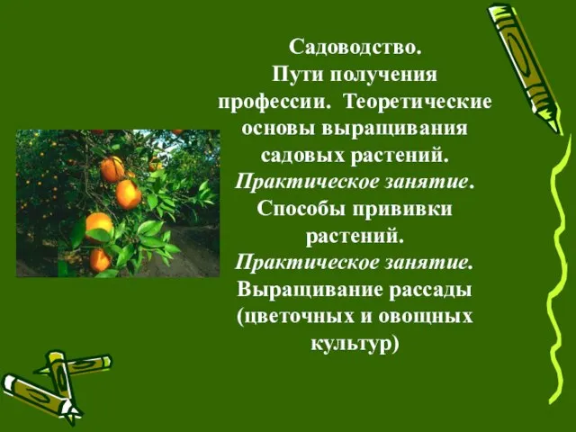 Садоводство. Пути получения профессии. Теоретические основы выращивания садовых растений. Практическое занятие. Способы