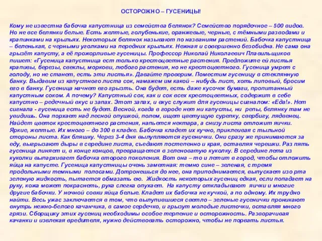 ОСТОРОЖНО – ГУСЕНИЦЫ! Кому не известна бабочка капустница из семейства белянок? Семейство